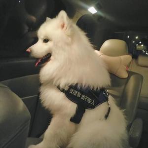 白丝少萝❌❌自慰涶水机
