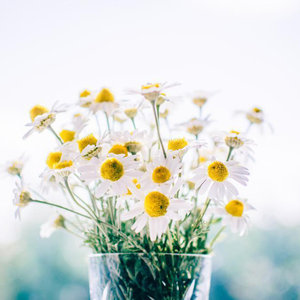 白丝少萝❌❌自慰涶水机
